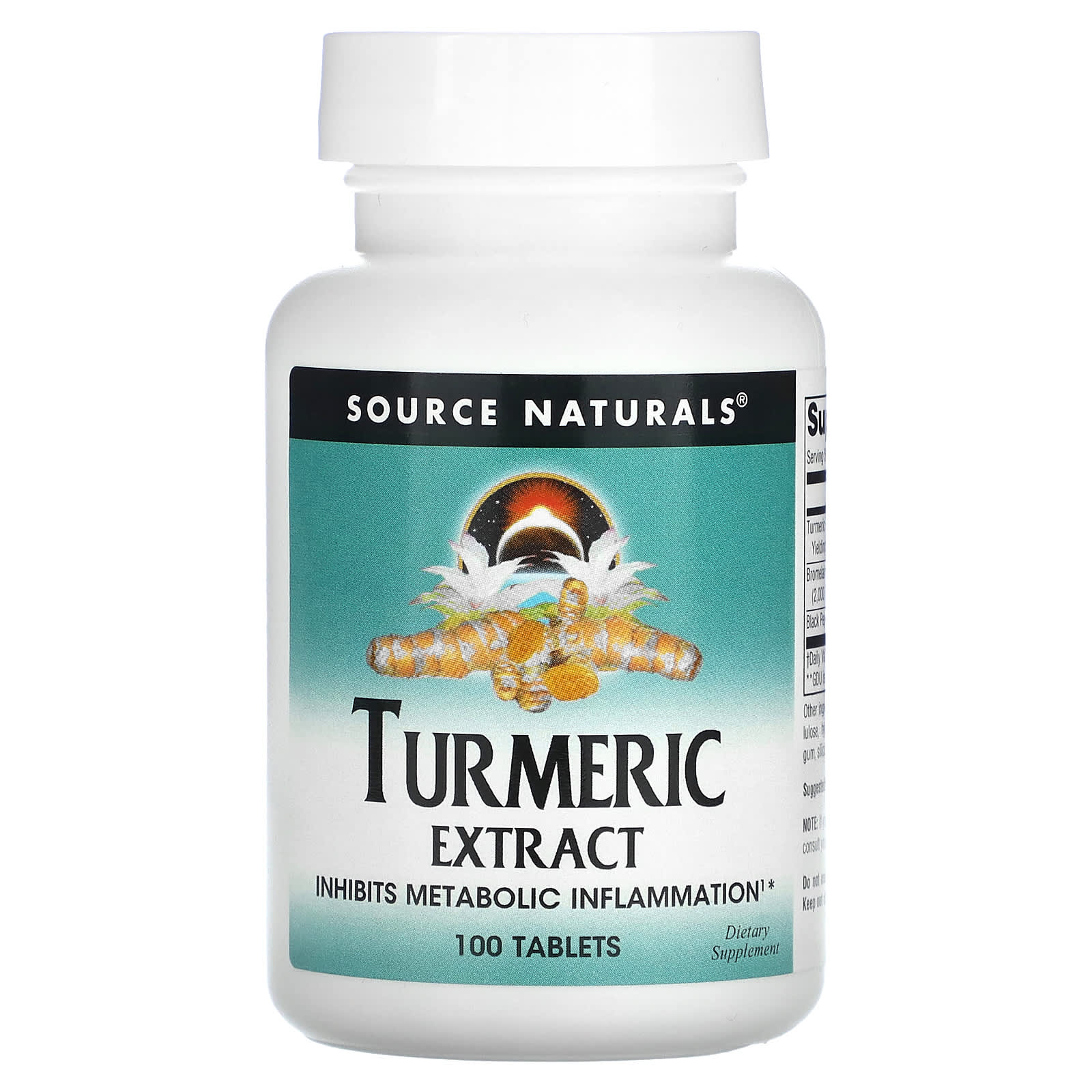 Source Naturals 강황 추출물 100정