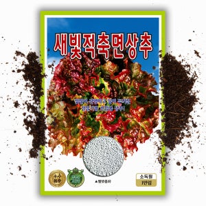 대용량 새빛 적축면 상추씨앗 1만립 펠렛코팅 꽃상추 쌈채소 씨앗 종자 대포장