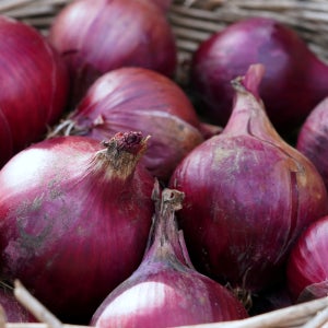 [한끼채소]자색양파 폭탄행사 판매 5kg 대,중,소 등급선택