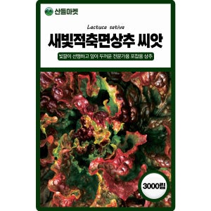 산들마켓 새빛적축면 상추 씨앗 3000립 빛깔이 선명하고 잎이 두꺼운 전문가용 포찹용 고급 품종 종자