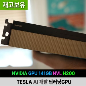 H200 GPU 141GB NVL DCNVIDIA TESLA AI 개발