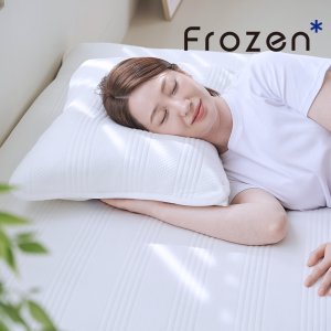 프로젠 휴비스 듀라론 냉감 패드 쿨시트 S