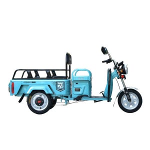 3륜 오토바이 짐수레 농업용 배터리 농업 농장 노점 48V20A
