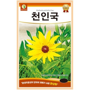 천인국 60립 꽃씨 일년생 씨앗 봄 여름 가을 야생화 다농 농사마트