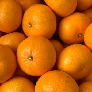 제주 만감류 천혜향 3kg 5kg 10kg 선물용 가정용 제주성공농원