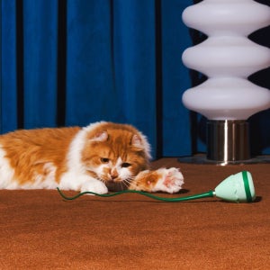 우다다맨숀 못잡겠쥐꼬리 자동낚시대 고양이 장난감