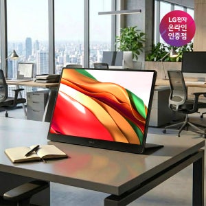 LG 그램뷰 17MT70 +VIEW 포터블 모니터 3세대 플러스뷰