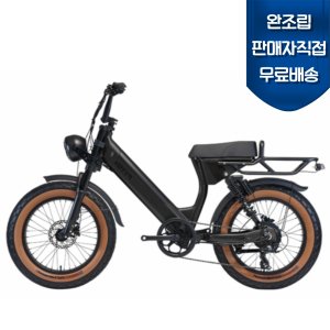 완조립도착 알톤 파이톤20 48V 500W 15A (PAS&THROTTLE) 전기자전거 자토바이