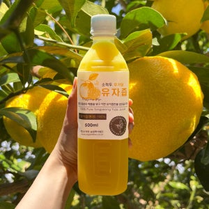 [2025년 햇유자] 소적두 무설탕 유자즙 원액 500g, 3개