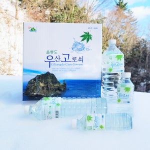 채취일자표시 26년 첫 물 울릉도 우산고로쇠 500ml, 30개