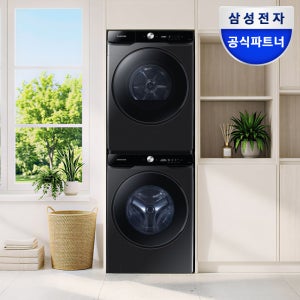 삼성 WF25DG8650BV2T AI 세탁기 25kg 건조기 21kg 세트 1등급
