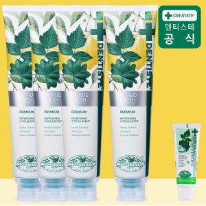 덴티스테 시트러스 후레쉬 불소치약[+20g여행용] 충치예방 입냄새제거 200g, 4개