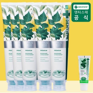 덴티스테 시트러스 후레쉬 불소치약[+20g여행용] 충치예방 입냄새제거 200g, 5개