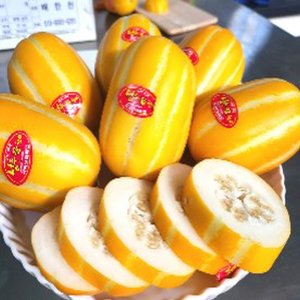 성주 꿀 참외 가정용 10kg 랜덤과 (20-60과)