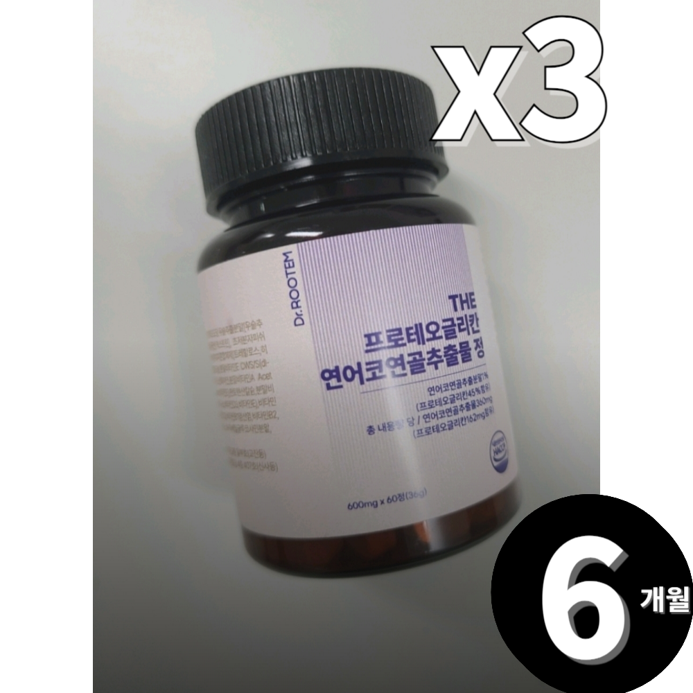 닥터루템 프로테오글리칸 연어코연골추출물 정 총 6개월분