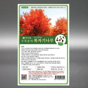 복자기 단풍 나무 씨앗 20g 조경수 가로수 공원수 정원수 골프장 나무 수목 종자 씨