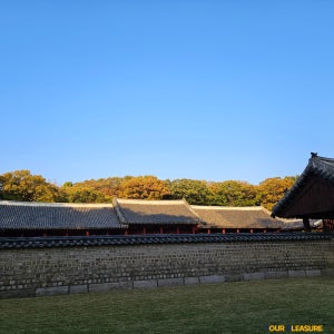 조선왕실 공경의 공간, 함께 걷는 창경궁과 종묘 도슨트 투어