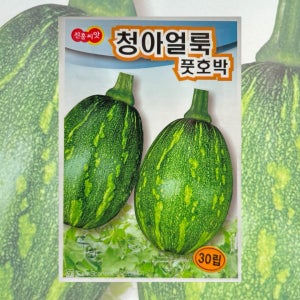 청아얼룩풋호박씨앗 30립 26년포장 풋호박종자 호박