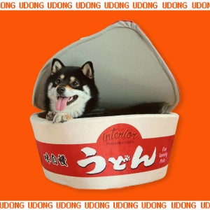 가디즌 카시마 반려동물 우동 숨숨집 강아지 고양이 컵라면 침대