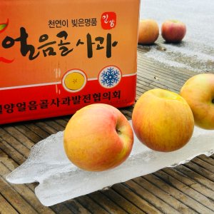 못난이사과 가정용 5키로 10키로