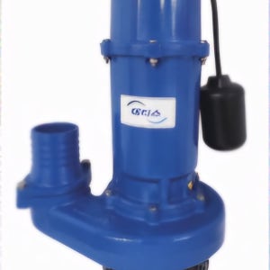 테티스 단상펌프 1900A X 2HP 워터 배수 자동 양수기