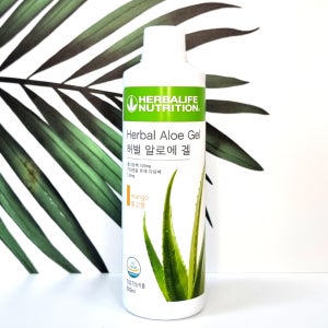 허벌라이프 알로에겔 500ml 망고맛