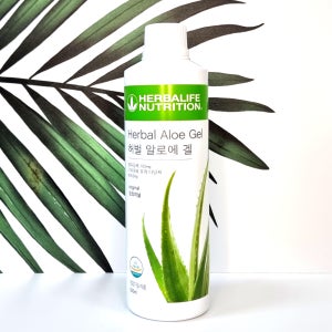 허벌라이프 알로에겔 500ml 오리지널맛