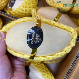 온미락 프미리엄 골드망고 애플망고 2KG 3KG 4Kg 5KG 고당도 남독마이 태국망고