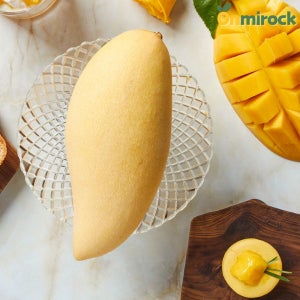 온미락 프미리엄 골드망고 애플망고 2KG 3KG 4Kg 5KG 고당도 남독마이 태국망고