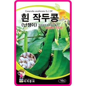 작두콩씨앗 10립/ 흰 작두콩 키작은콩 비넝쿨성 종자 채소씨앗 콩종자 큰콩