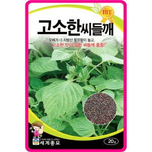 들깨 씨앗 20g / 고소한 씨들깨 다수확 토종 들깨씨 종자