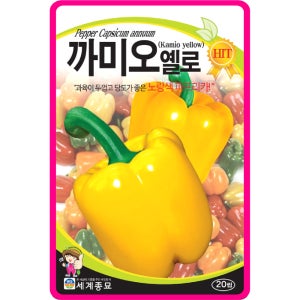 파프리카씨앗 20립 / 까미오옐로우 피망 채소씨앗 과일 쁘띠벨 종자 핑거푸드 샐러드