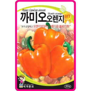 파프리카씨앗 20립 / 까미오오렌지 피망 채소씨앗 과일 쁘띠벨 종자 핑거푸드 샐러드