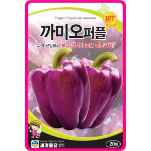 파프리카씨앗 20립 / 까미오퍼플 피망 채소씨앗 과일 쁘띠벨 종자 핑거푸드 샐러드