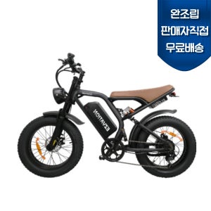 완조립도착 2025년식 850W 이지베이션 BS슬릭 자토바이 팻바이크 전기자전거 48V 10Ah