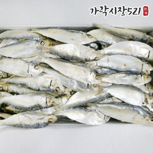 국물용 햇 디포리 1.5kg 상급 밴댕이 육수용 다시멸치 업소용 대멸치