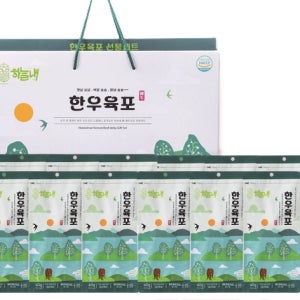 40g 12개입 [하늘내] 한우육포 선물세트 HACCP 480g, 1개