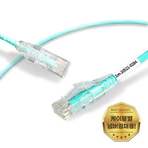 고속 10G CAT6A 슬림 랜선 기가비트 UTP 랜케이블 인터넷 1m, 1개