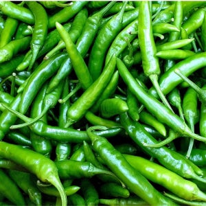 국산 청양고추 특품 1kg 땡초 매운고추