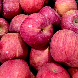 사과 부사 문경 못난이 가정용 흠과 선물용 10kg