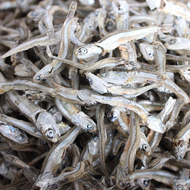 찍어먹는 고바멸치 안주용 건 멸치 고추장 반찬용 1.5kg, 1개