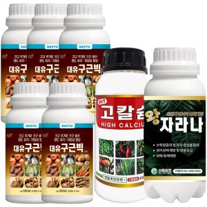 산들마켓 구근빅 500ml 마늘 양파 감자 고구마 당근 구근 대유 비대제 5개+고칼슘+왕자라나 500ml 증정