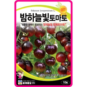 방울토마토씨앗 10립 / 밤하늘빛 미니방울 채소씨앗 과일 종자 키우기 희귀