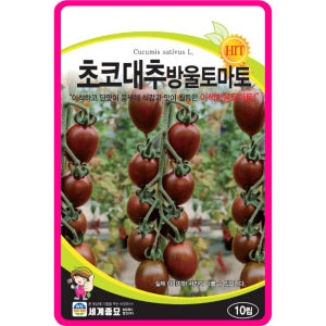 대추방울토마토씨앗 10립 / 초코대추미니 채소씨앗 과일 종자 키우기 희귀