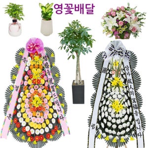 의왕근조화환 의왕화환 꽃배달 화분배달