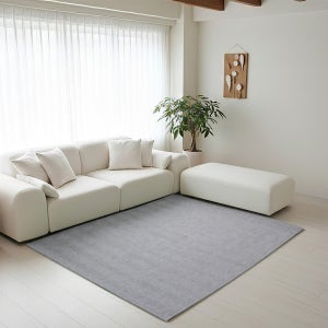 리앤데코 거실 러그 먼지없는 자가드 헤링본 카페트 맞춤형 200x265cm