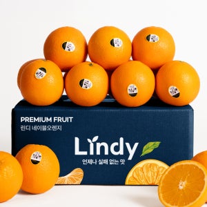 린디 네이블 오렌지 프리미엄 미국산 및 호주산 12브릭스 이상 수입과일