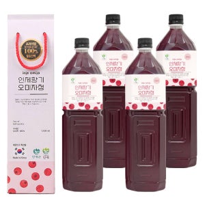 인제향기 생 오미자청 100% 원액 발효진액 액기스 엑기스 1.5L 4병 선물용 대용량 업소 카페용 농장직송 수제 전통방식 물 한방울 넣지않은 100% 자연숙성
