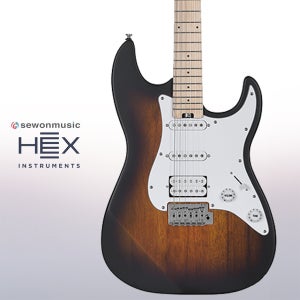 헥스 E100 Plus SB 선버스트 일렉기타