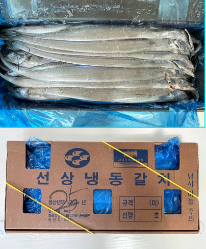 [업소용] 제주도 선동갈치 은갈치 10kg 1상자 (13미, 19미, 25미) 산지직송